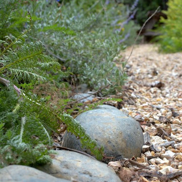 Los Altos Landscape Garden Design - Green Patio
