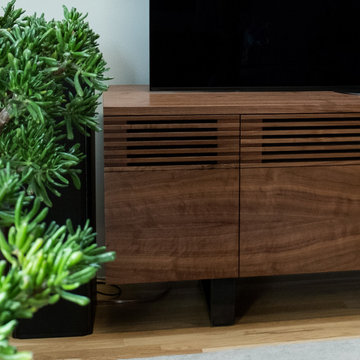 Media Console