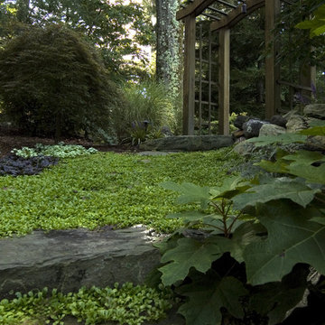 Sensational Shade Gardens