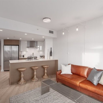 Living Room - Contemporary