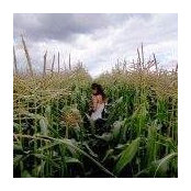 Amy Wong's photo