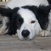 Karleen Moore's photo