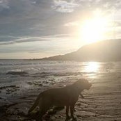 david love's photo