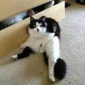 Marc Perez's photo