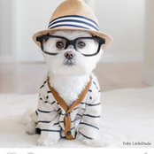 Jeremy Malanka's photo