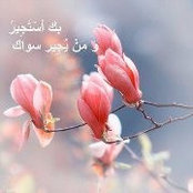 Amal Wafas billede