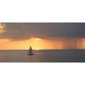 Amy McIver's photo