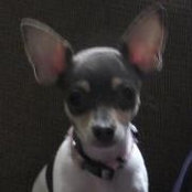 Jenny Nelson's photo