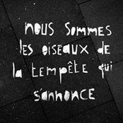 Julien Jlbert's photo