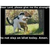 Linda McVicar's photo
