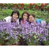 Yee Wenn Lim's photo