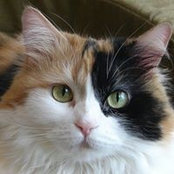 Annette Layne's photo
