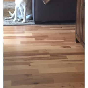 Prefinished Hickory in a San Jose remodel