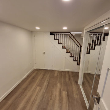 Erskine Basement/Bathroom Reno