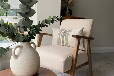 This is an example of a scandinavian living room in Belfast.
