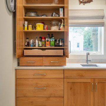 Merion Kitchen Remodel