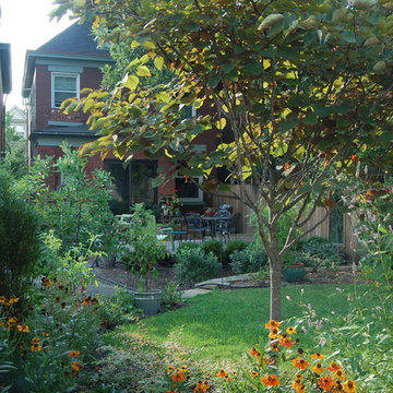 Urban Backyard & Rain Garden