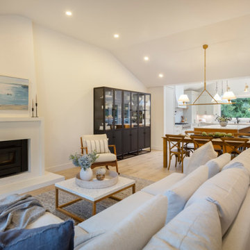 Edgemont living room and fireplace