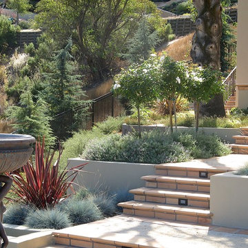 Orinda Hillside Garden