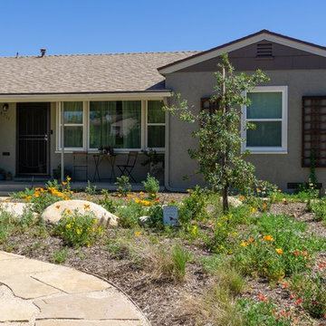 Front Yard Makeover