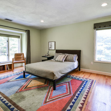 Transitional Bedroom