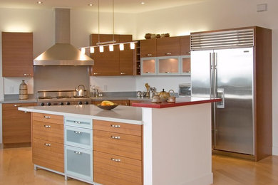 Kitchen - contemporary kitchen idea in Other