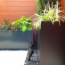 Patio Ideas