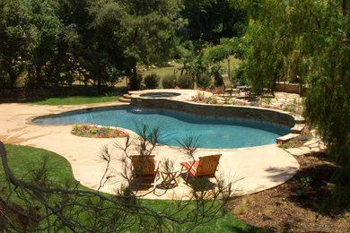 Imagen de piscina natural de estilo americano grande tipo riñón en patio trasero con paisajismo de piscina y adoquines de piedra natural