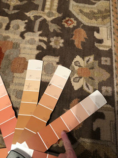 Apricot Paint Color