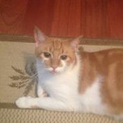 Christine Taylor Cleek's photo