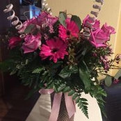 Claudia A's photo