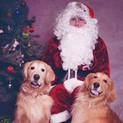 Barbara Donovan's photo
