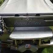 Donna Wilburs billede