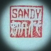 Sandy Artist's photo