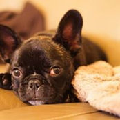 Reginald Winston's photo