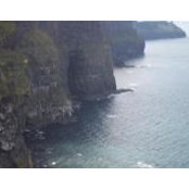 Patti Cavlovic's photo