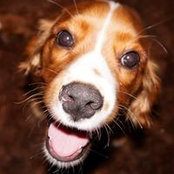 Heather Green's photo