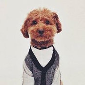 Michael Rosen's photo