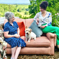 Sue Scammell Interiors's profile photo