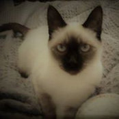 Caitlin Walters's photo