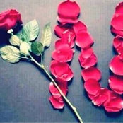 ملاک علي's photo