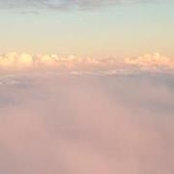 Denise Hammett's photo