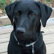 Kimberly Hayes's photo