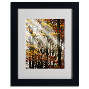 'Just the Light' Matted Framed Canvas Art by Philippe Sainte-Laudy