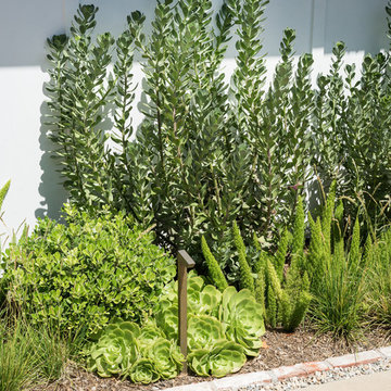 Landscape and Backyards