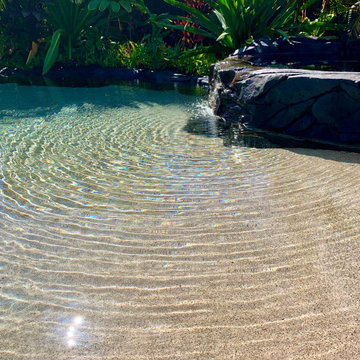 Natural Tropical Designs