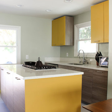 Compact & Vivid Contemporary Kitchen in Pasadena