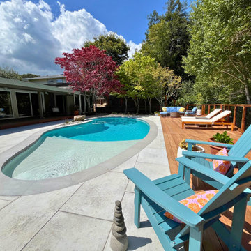 Backyard Pool Deck in San Rafael