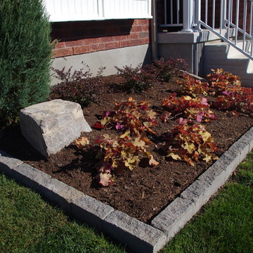 Modern Small Yard