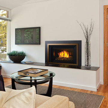 Gas Fireplace Inserts